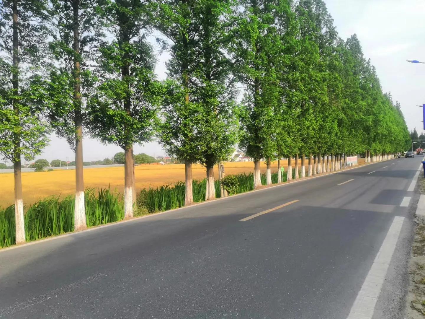 好的文案短句100个,好文案的五要素