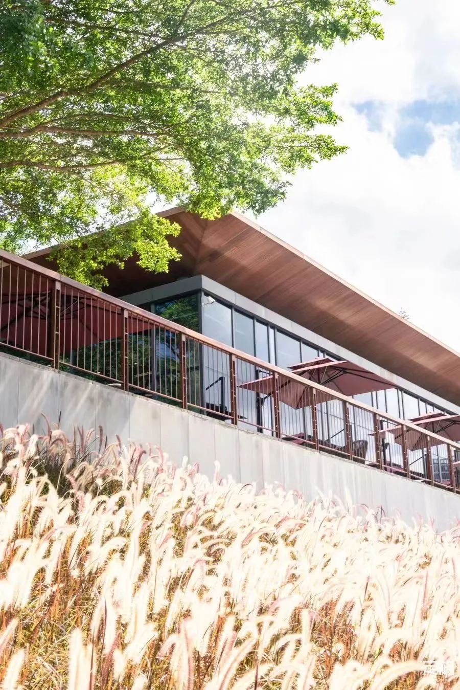 不用出国在深圳看到的美景,深圳有什么景点去看的不要钱的