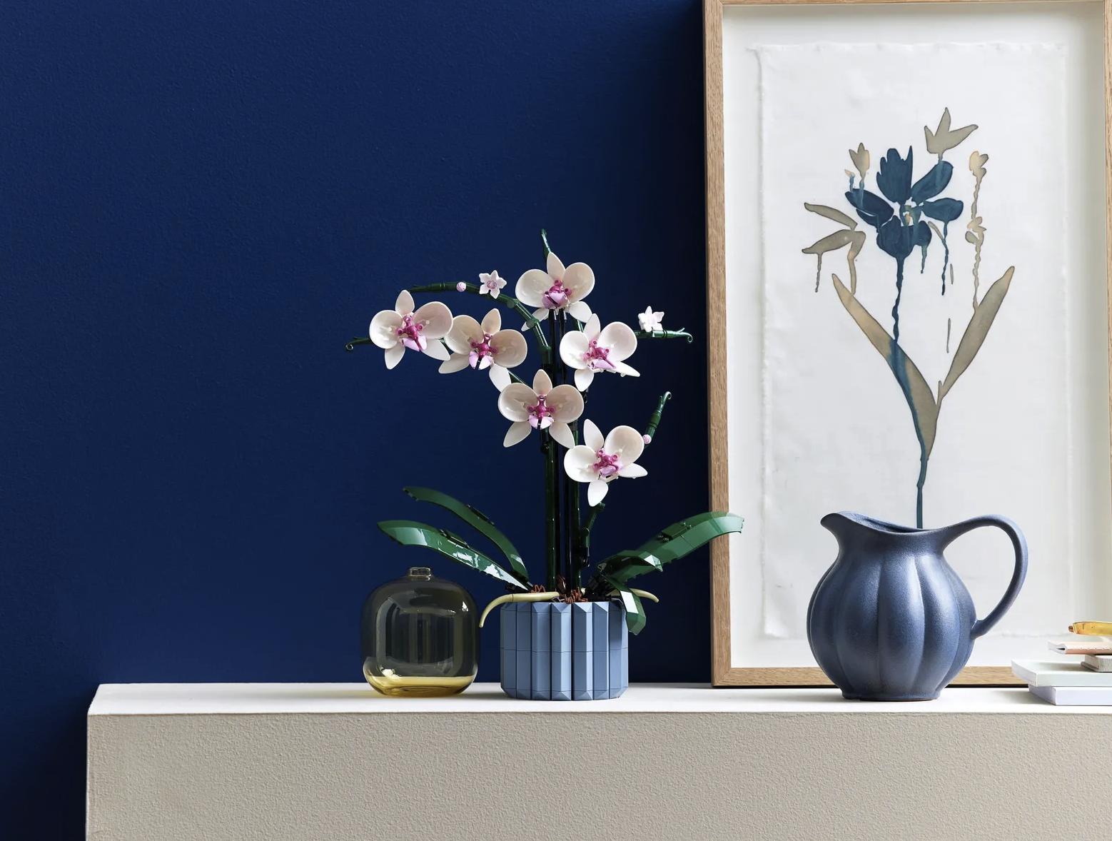 乐高彩虹之路电子版,乐高彩虹之路第一代