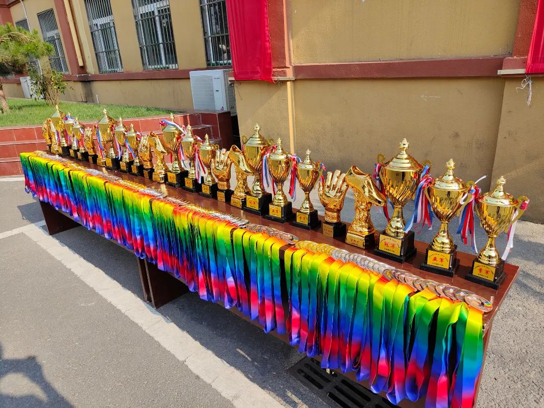 阜南县第七小学足球校长杯,阜南第十七小学足球比赛