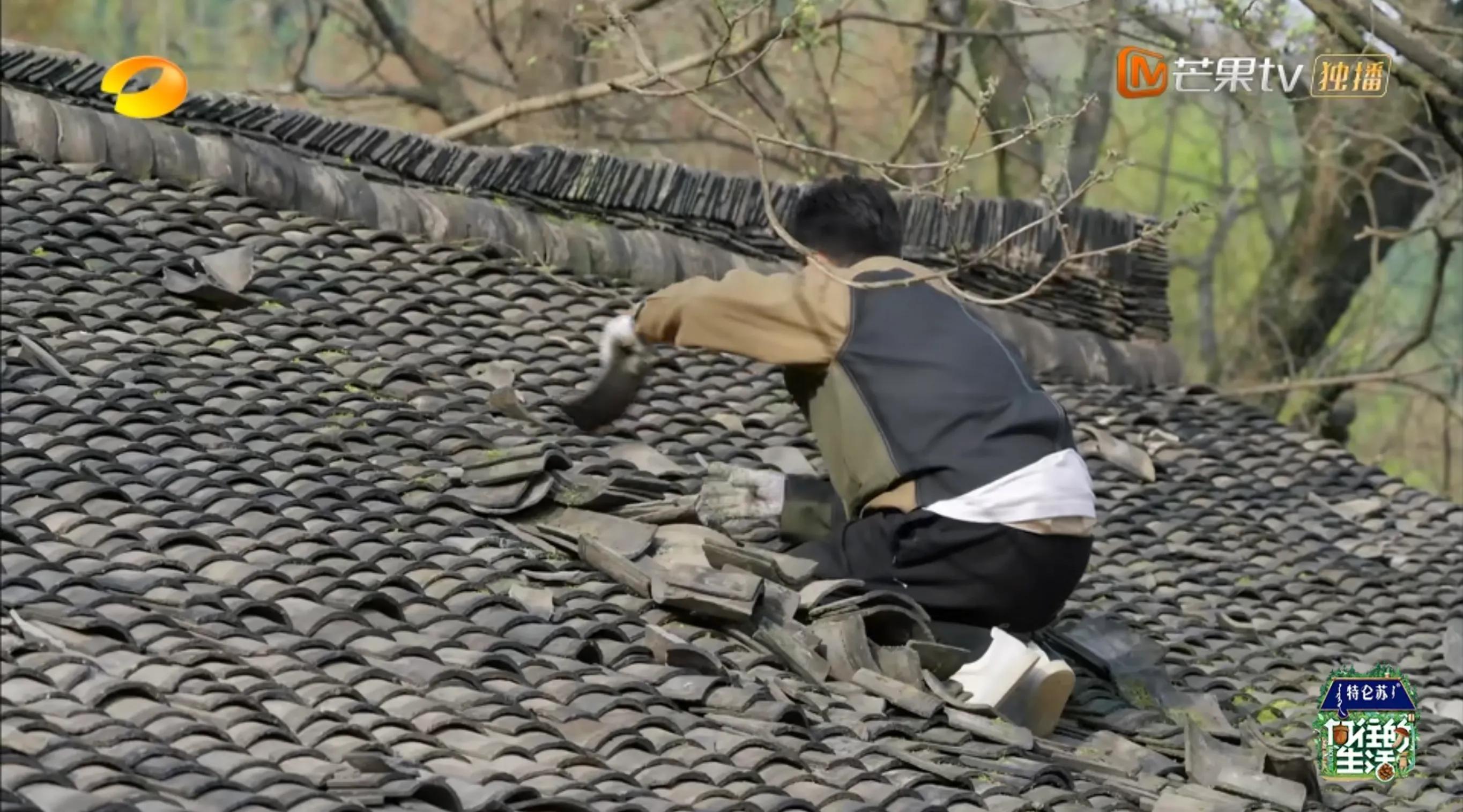 向往的生活7后面几集的嘉宾,向往的生活7最后一集