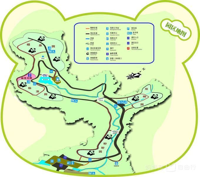 大熊猫基地怎么才能去喂大熊猫,大熊猫基地怎么去九寨沟