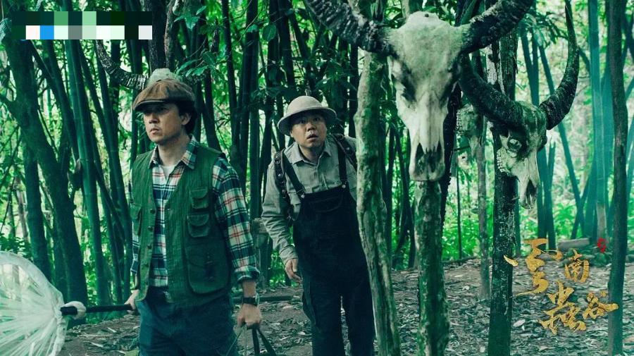 云南这次被挤爆，刘亦菲全责