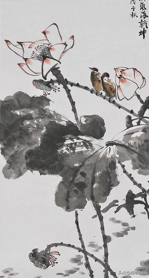 接天莲叶无穷碧映日荷花图片大全,莲叶无穷碧映日荷花别样红三幅图