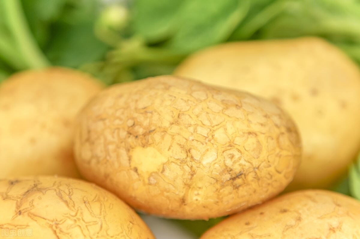 土豆是全球第几大重要的粮食作物,十大土豆种植县市有哪些