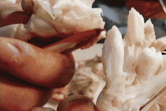 真吃不下了,这个靠海吃海的小县城怎么就能这么好吃