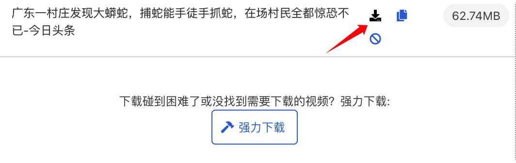 浏览器插件，*载下**你看到的视频。