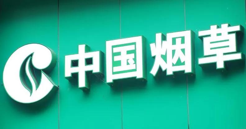 现在的社会做什么行业最合适,未来社会什么行业最好做