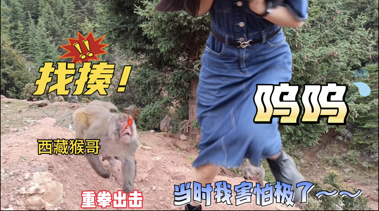 进藏联通有信号吗,去西藏移动信号还是联通信号好