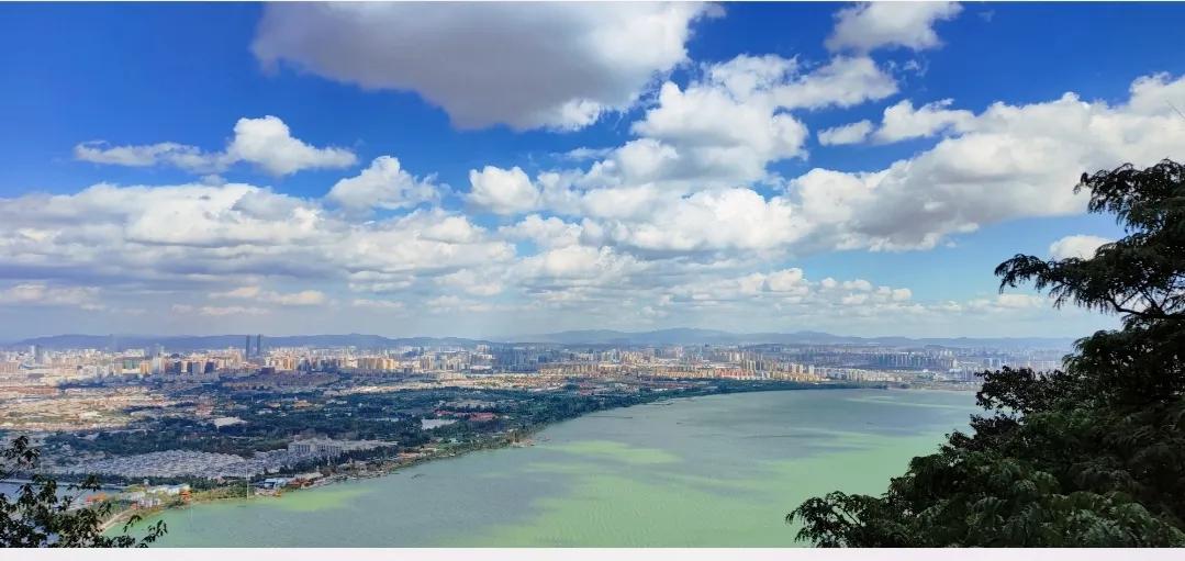 昆明西华公园海棠花,昆明市免费公园有几个