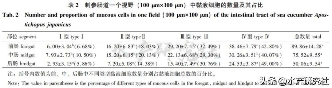 刺参消化系统组织结构特点,刺参粘多糖怎么分解
