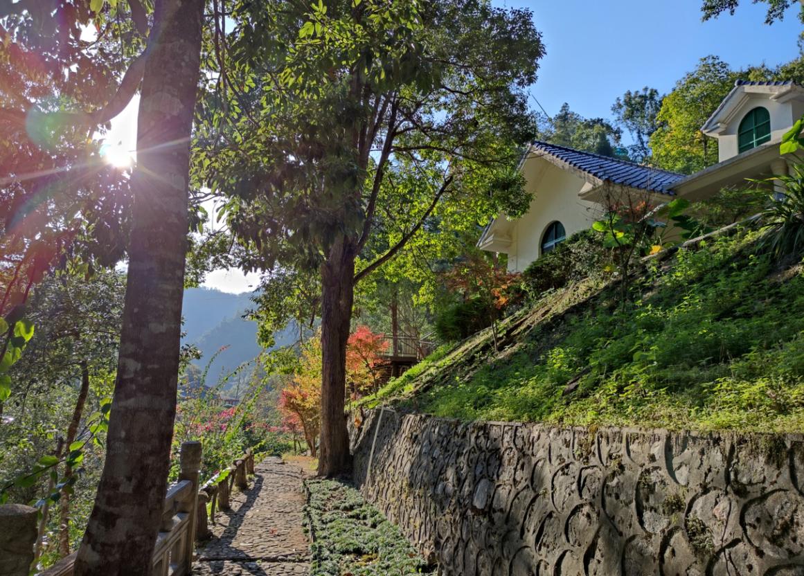 清远避暑温泉山庄,清远森林温泉