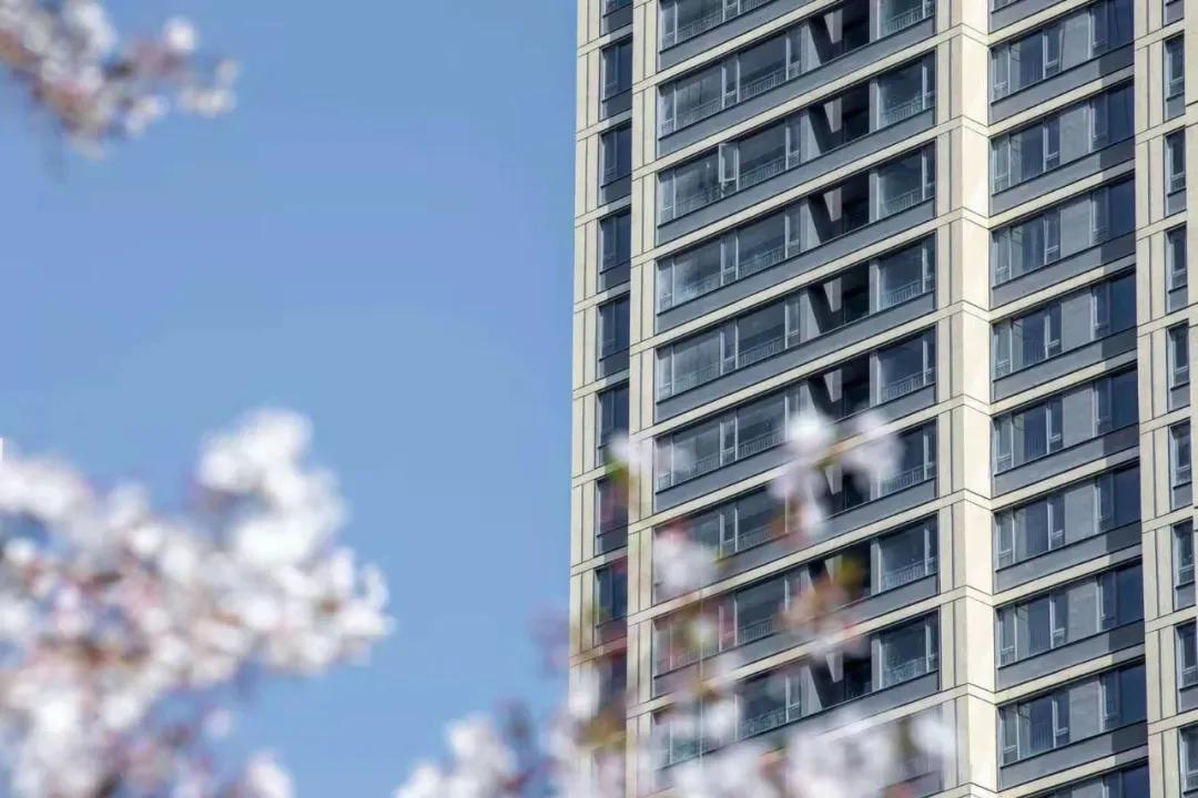 合肥房企排名前十名,合肥大房企排名