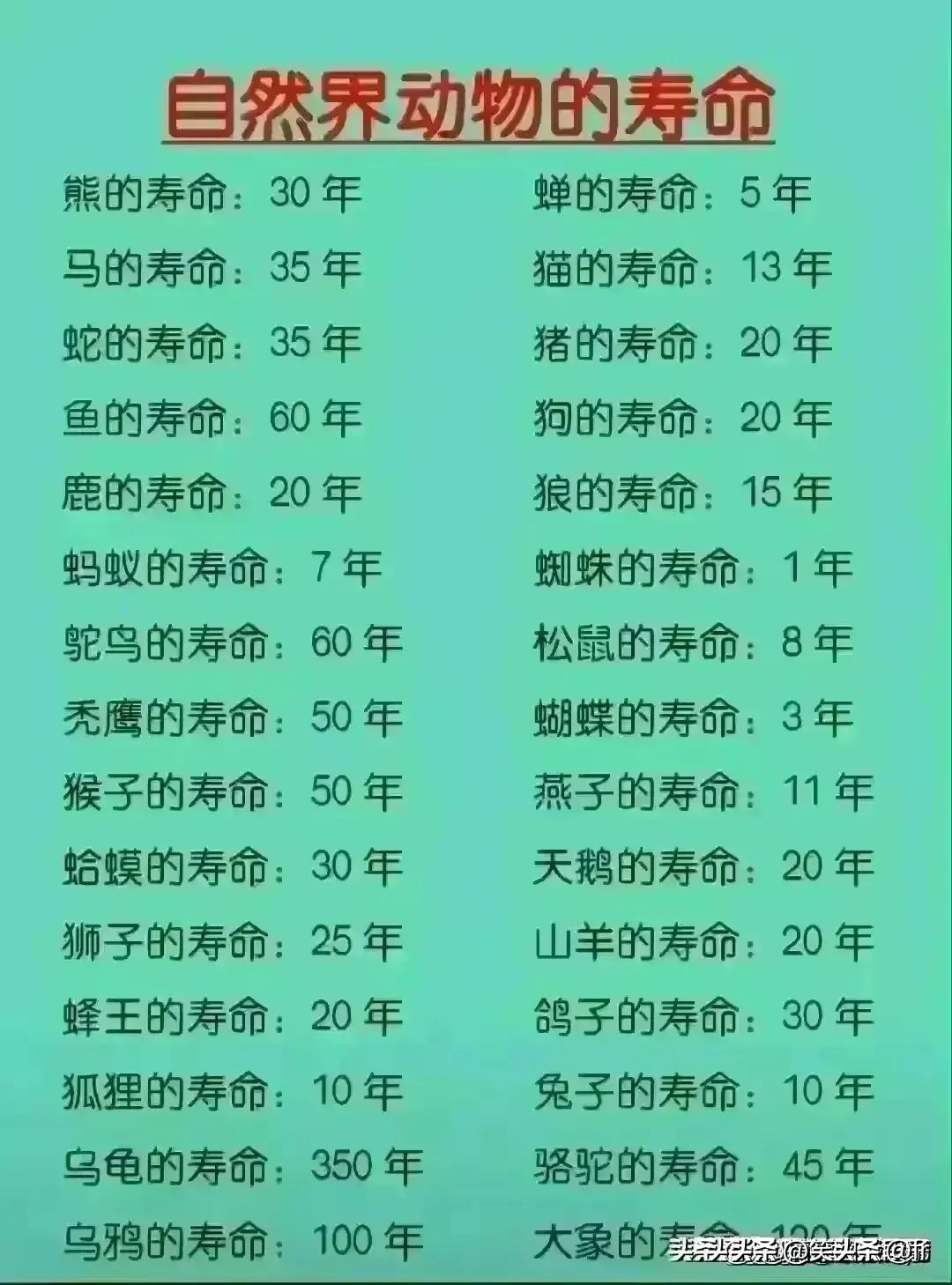 30种不能放在微波炉里的食物,三十种不能吃的食物