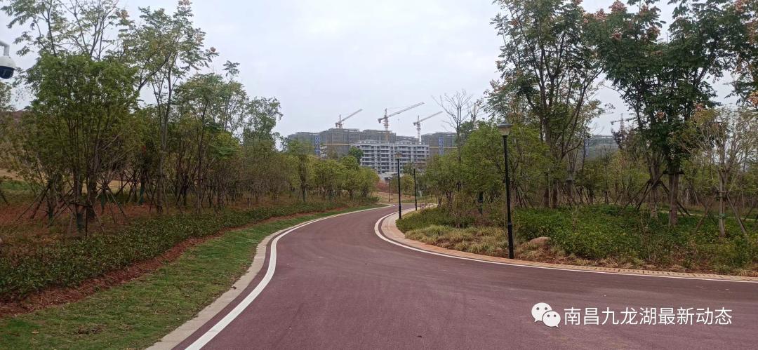 九龙湖运动主题公园,南昌九龙湖运动公园