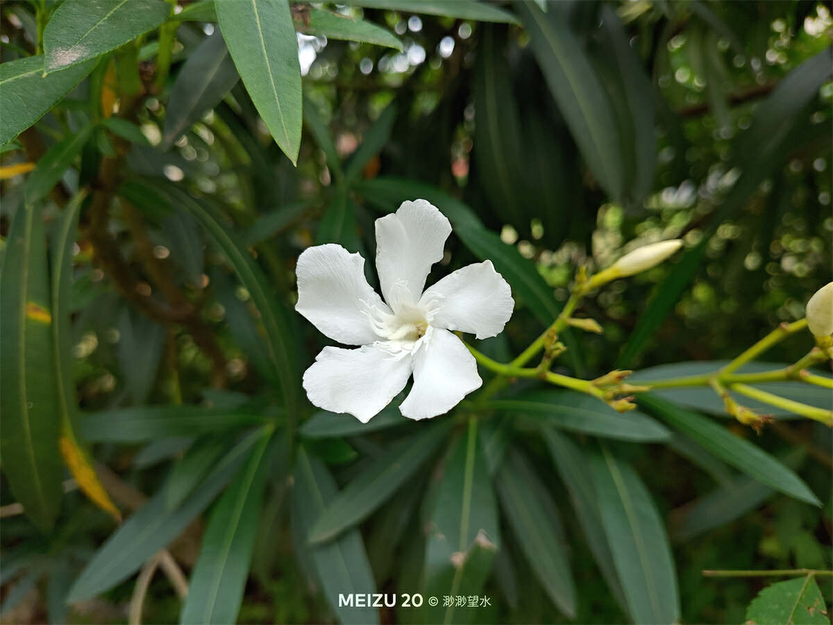 魅族20独白测评体验，来自魅友的10问，到底值不值得入手？