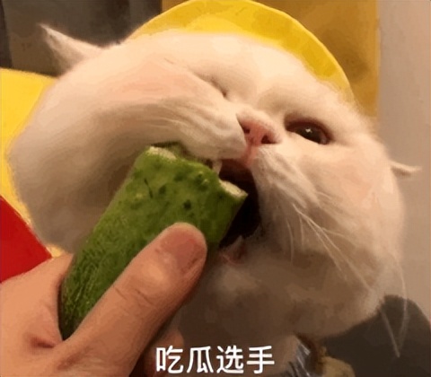 苹果被吊打怎么办,苹果被安卓打败了吗