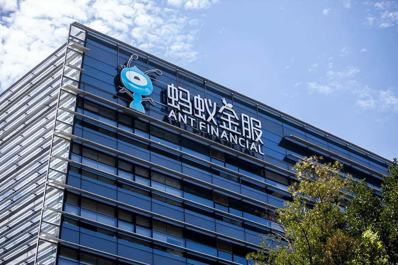 马云张旭豪最新消息,马云与张旭豪