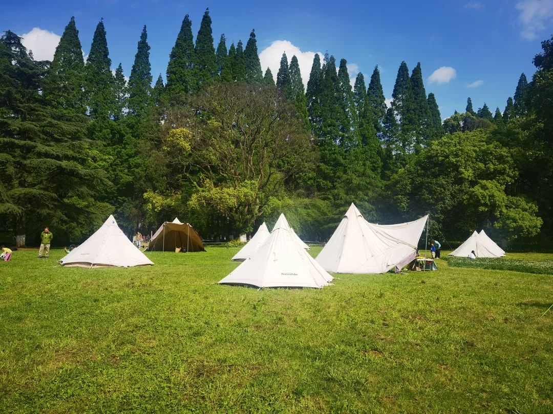 必去的花溪公园,假期余额不足游玩依旧火热