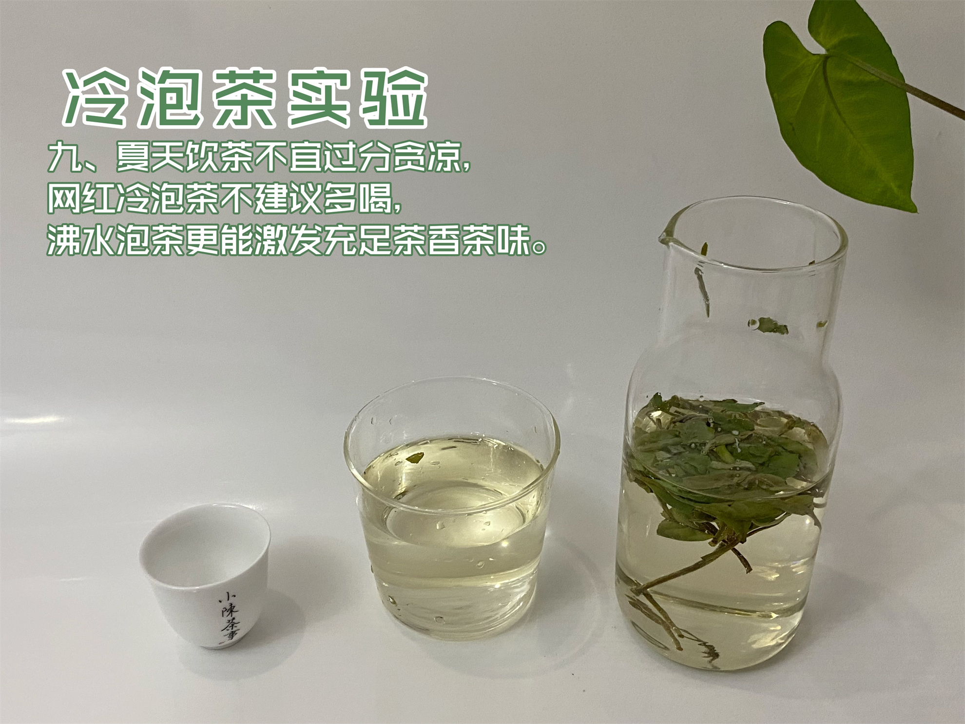 什么茶最适合夏天喝茶,夏天喝哪几种茶比较舒服
