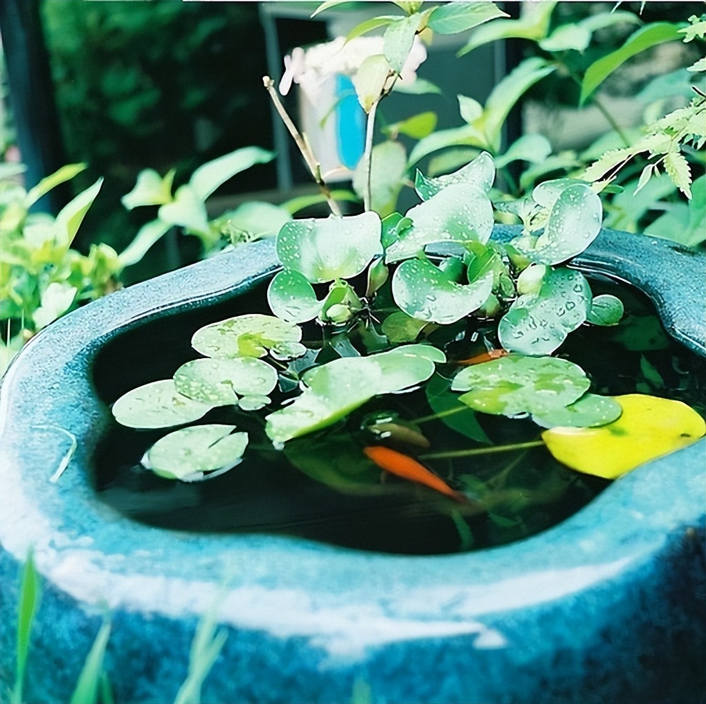 关于努力奋斗的励志语录,关于努力奋斗的励志诗句有哪些