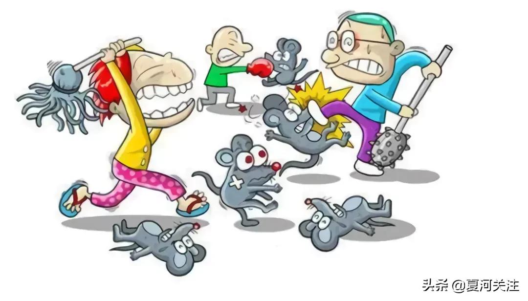 预防流行性出血热视频,幼儿园出血热疾病预防