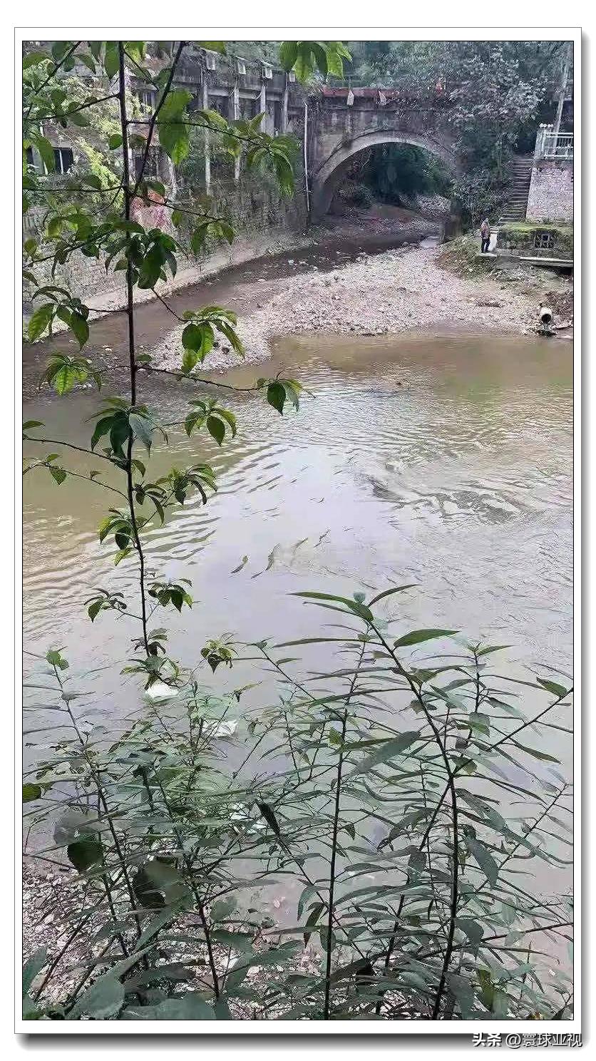 老三线国营二七六厂,老三线之渝州齿轮厂