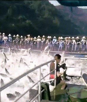 买新车适合发朋友圈的低调句子,买了新车怎么低调的发朋友圈