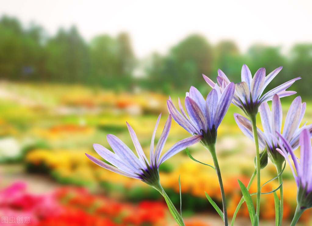 晒朋友圈老婆孩子照片唯美的句子,立冬的唯美句子朋友圈高质量句子