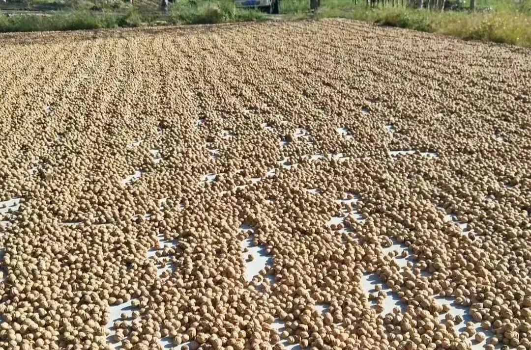 草绳制作新型机器,稻草加工致富项目