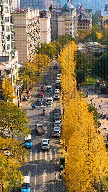 青田用欧元买菜,这座城市遍地都是豪车