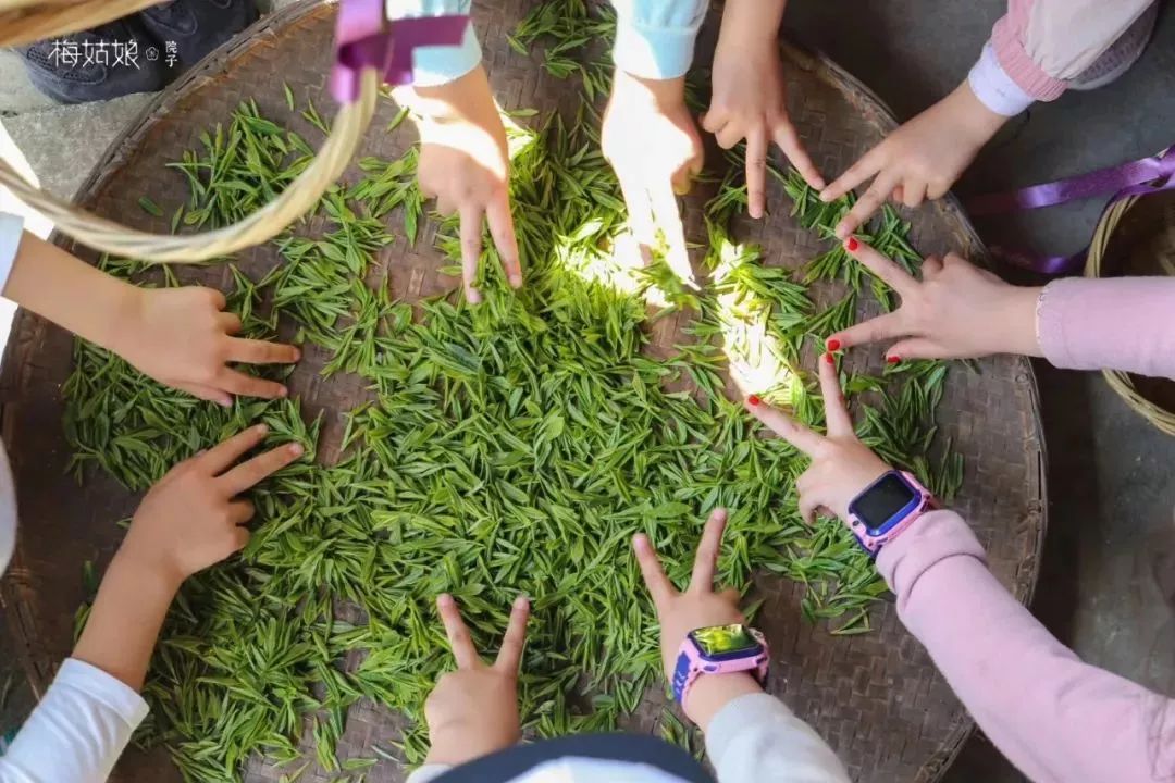 黄山五一推荐民宿,五一黄山民宿推荐