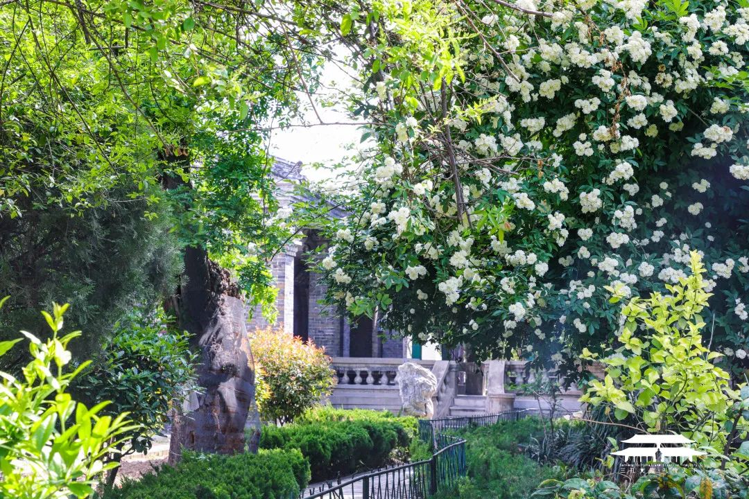 孔庙孔府孔林并称三孔对吗,曲阜三孔是孔庙孔府孔林吗