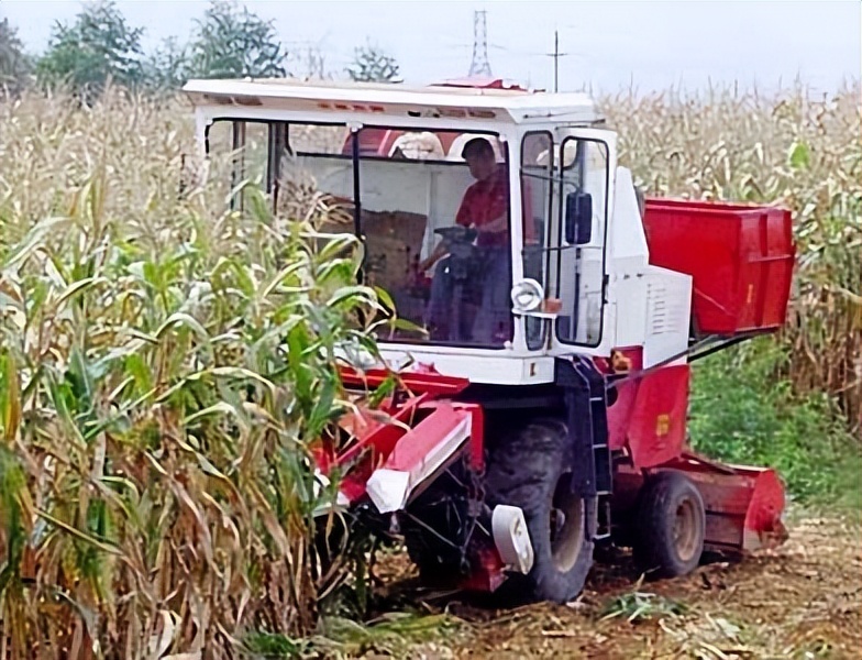 玉米脱粒机补贴山东,现在玉米收获机多少钱一台