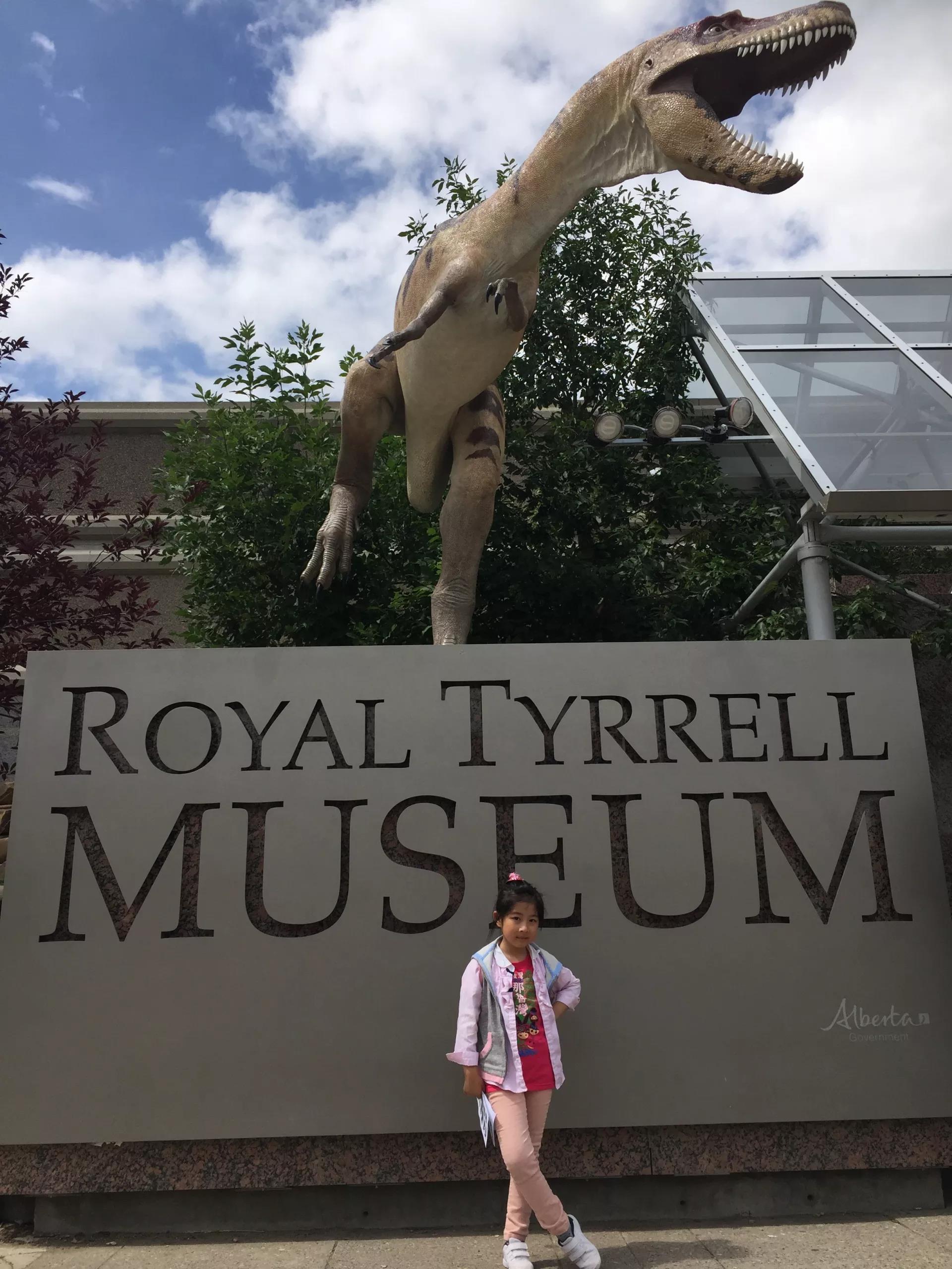 青岛如何带上猫猫去加拿大多伦多,钱猫猫加拿大之旅