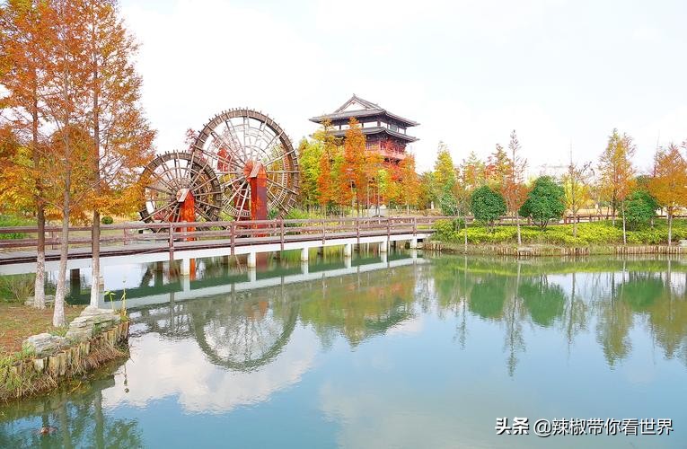 盐城最大的海边城市,盐城海岸线为何一直延伸