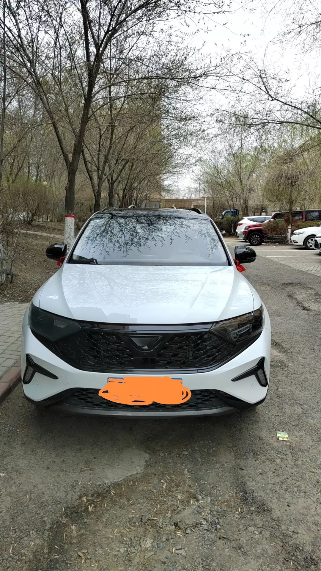 人生第二辆车买贵的还是便宜的,人生第二辆车选油电混动还是油车