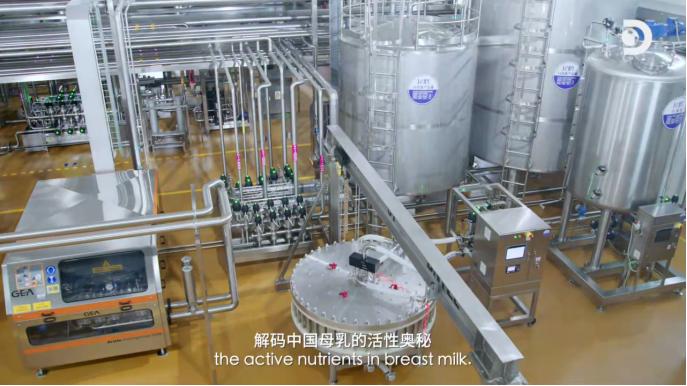 北纬47度黄金奶源地飞鹤,探秘中国奶粉新高度