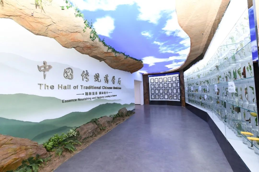 江西中医药大学最新排名,江西中医药大学是什么档次的学校