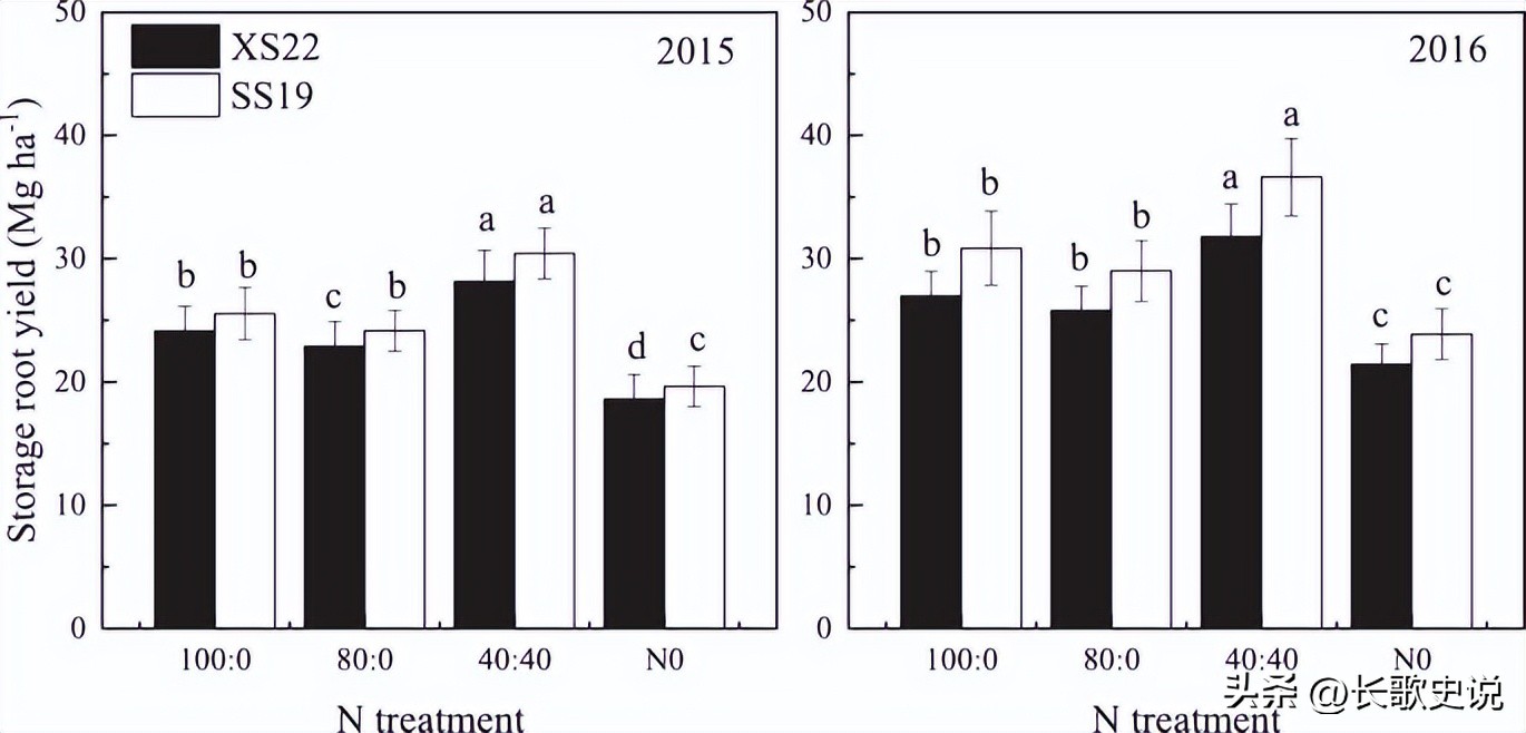 旱作马铃薯栽培技术试验,单垄单行马铃薯高产种植技术