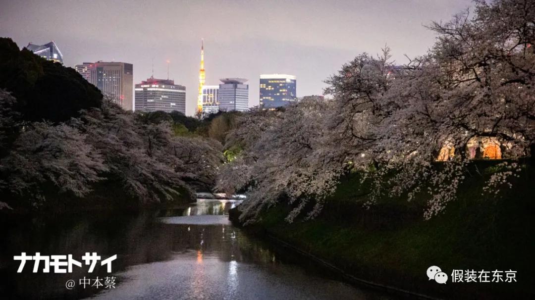 365张照片回顾,365张相片