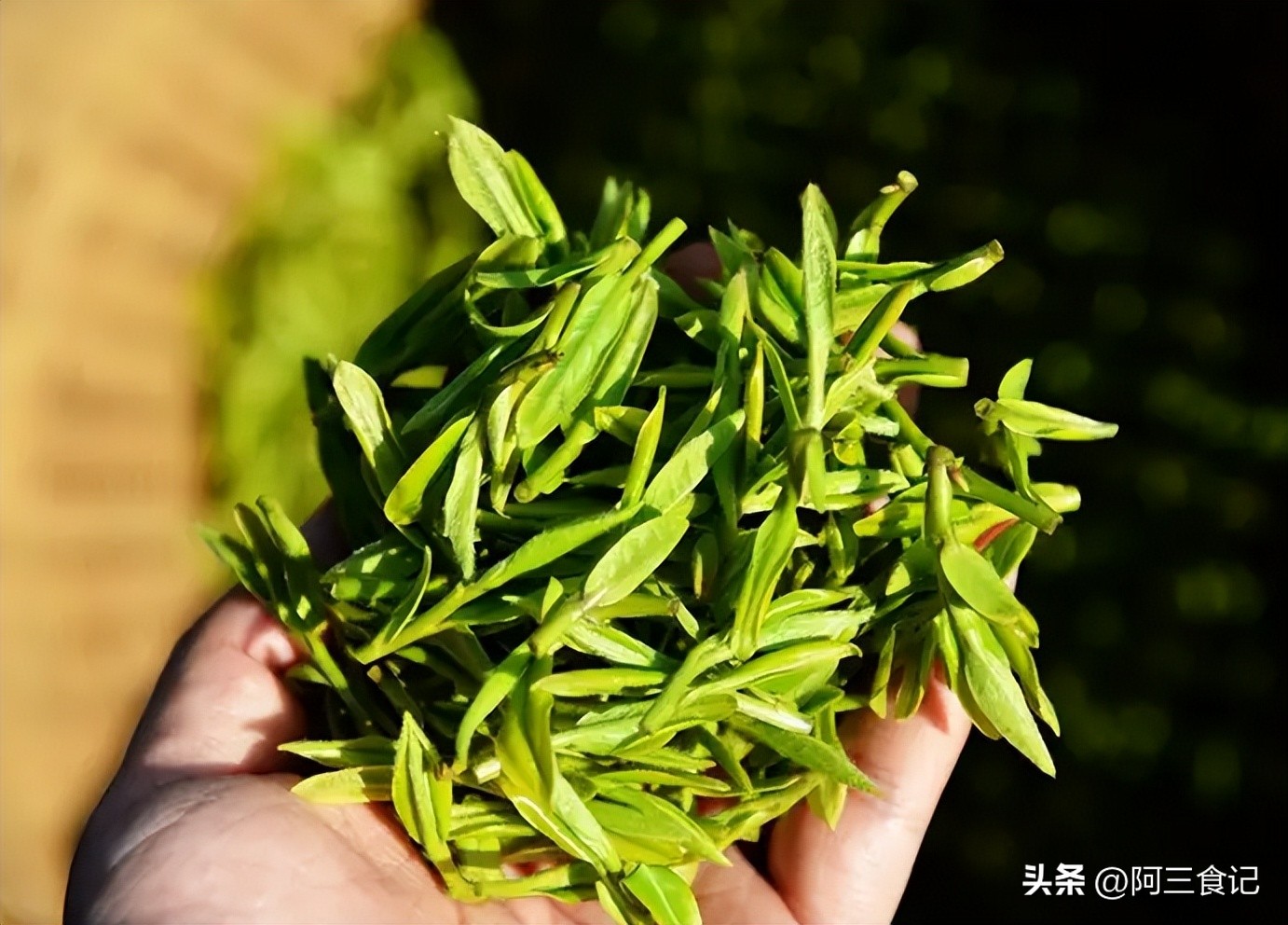 买茶叶的执行标准哪些是好茶,所有的茶叶都是经过精心挑选的