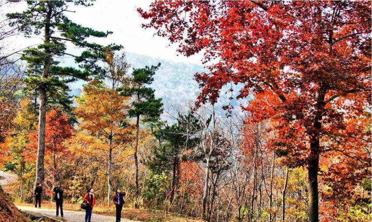 黄石市哪个地方看红叶最好,黄石附近夜景游玩景点推荐