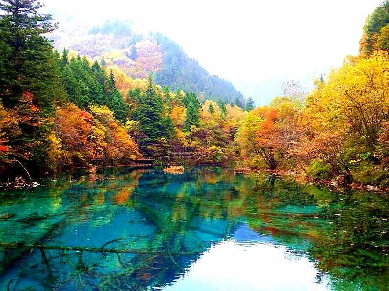 人间仙境九寨沟图片,人间仙境九寨风景图片