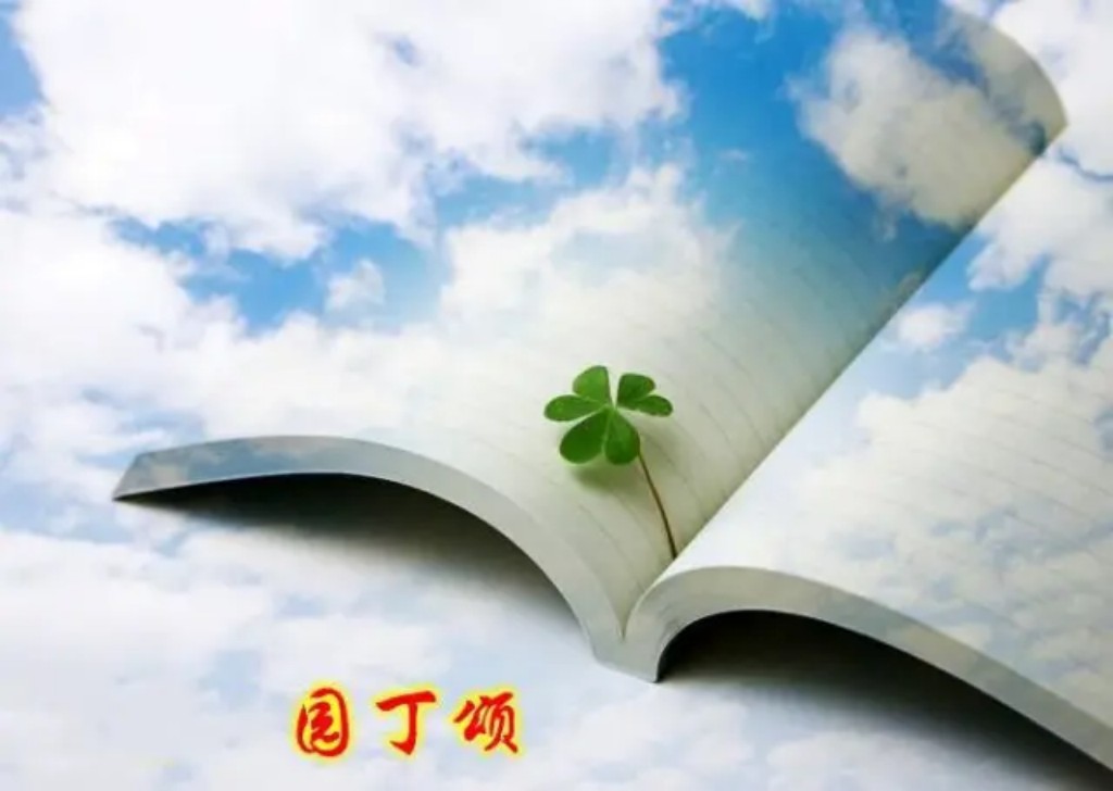 「学有榜样鉴」柳秋华：开拓创新乐奉献春华秋实慰心田