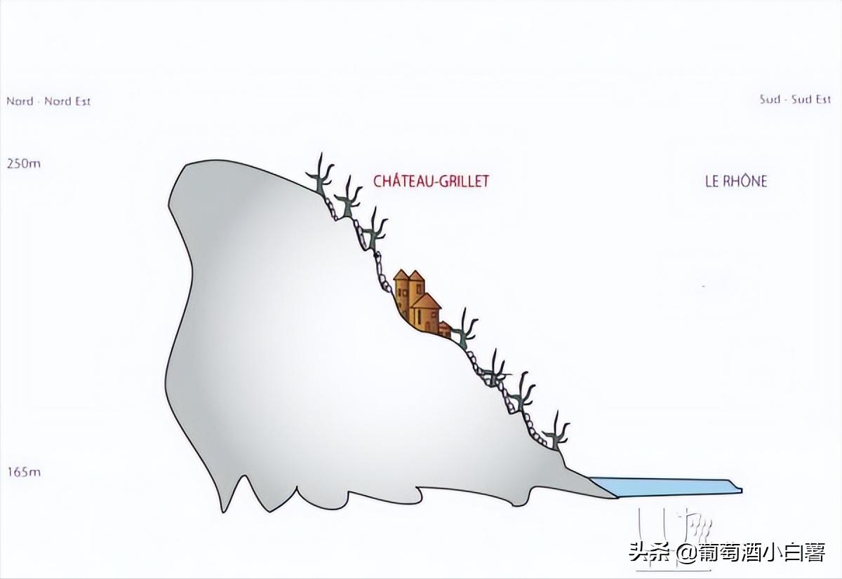 「法国红酒酒庄」顶级酒庄之罗纳河谷(RhoneValley)上-北罗篇