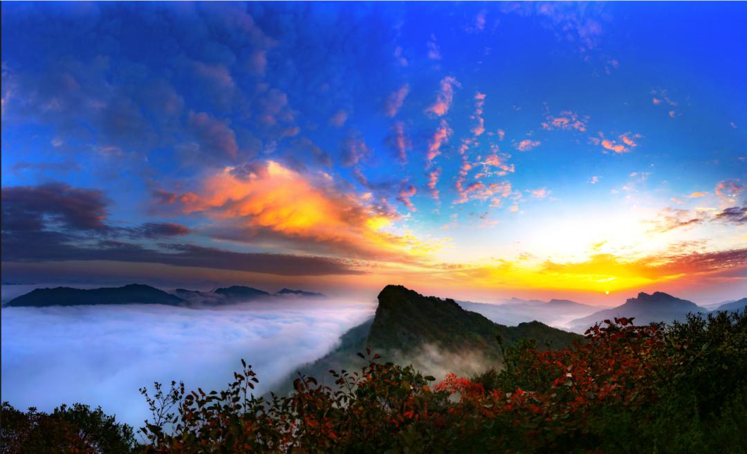 剑阁杯古树名木摄影大赛,保亭摄影比赛获奖作品