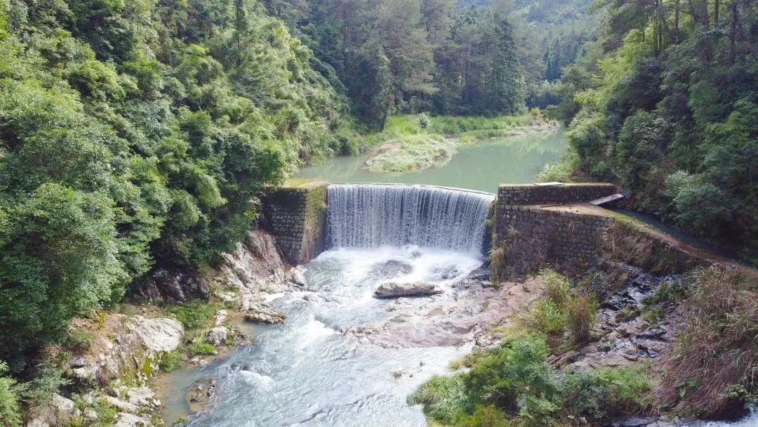 月游闽侯│七月-塘里洋里春园鲤,沉浸闽侯清凉里!