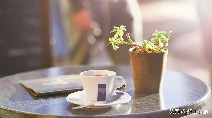 “贵人旺你,早有预示”:命中旺你的人,身怀这些气息