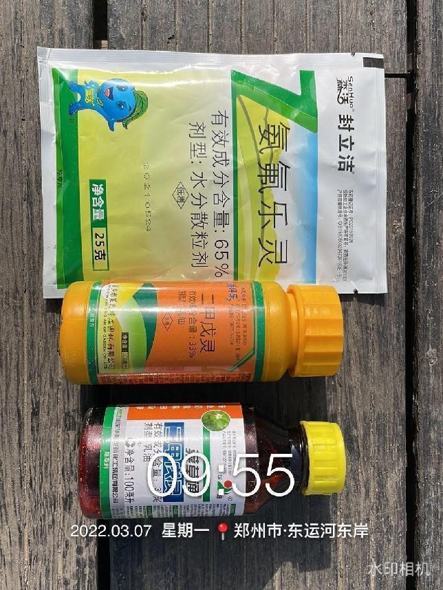 12月份园林绿化养护工作重点,元月份园林养护重点工作